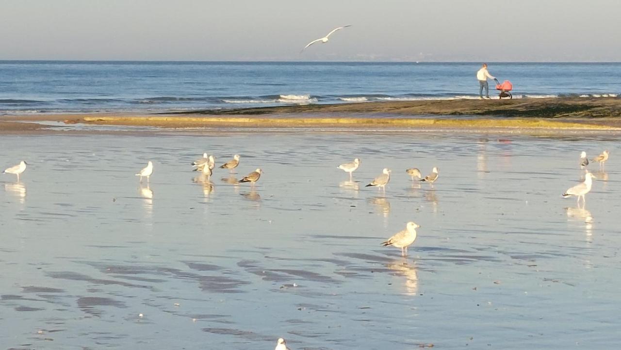 Ferienwohnung Les 3 Mouettes A Cabourg - Cote Normande Exterior foto